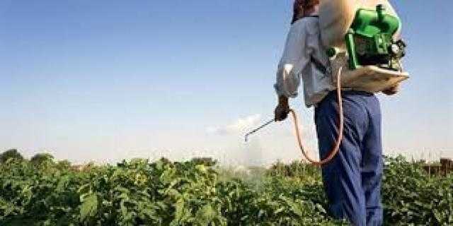 «المبيدات والأسمدة» تعوّل على 7 مستجدات للتعافى