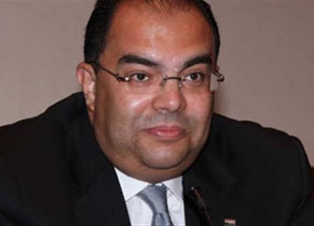 الدكتور محمود محيي الدين