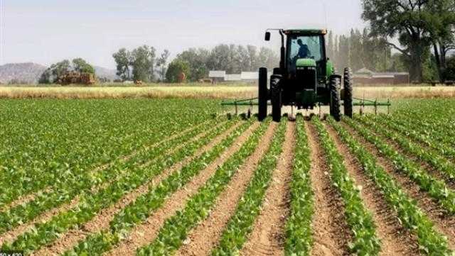 ”الزراعة” تصدر نشرة لمزارعي محاصيل الأعلاف الخضراء الشتوية والصيفية يجب مراعاتها خلال شهر اغسطس