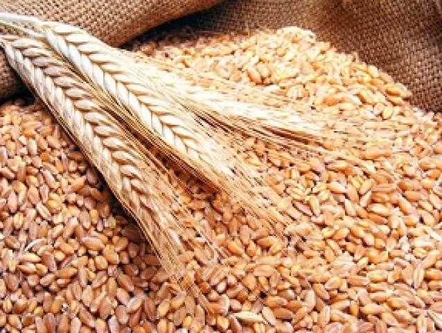 مسؤول: واردات مصر من القمح بلغت 3.5 مليون طن منذ بداية العام المالي الجاري