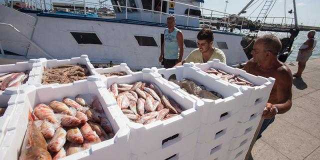 5.5 % زيادة فى كمية الإنتاج السمكى من المصايد الطبيعية عام 2020