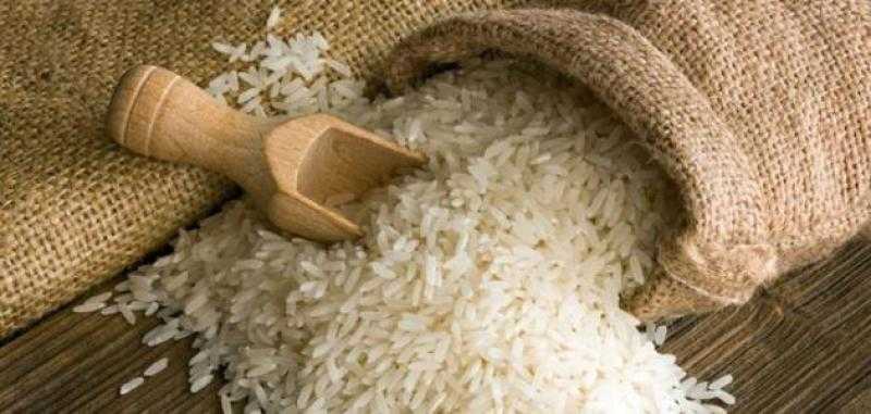 وزارة التموين: استلام 290 ألف طن أرز شعير من الفلاحين حتى الآن