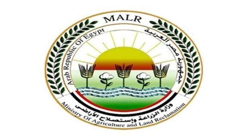 بيزنس لايف