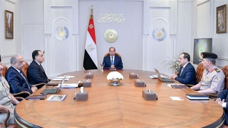السيسي يوجه بالإدارة المثالية للثروة المعدنية والمواد الخام في مصر