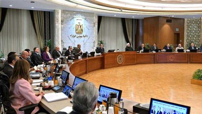 مجلس الوزراء يحدد سعر ضمان توريد القطن لموسم 2024-2025
