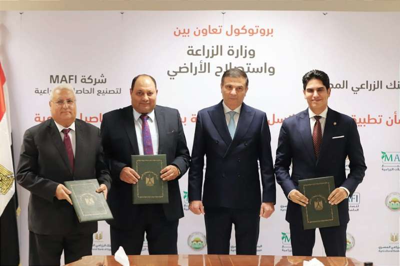 بيزنس لايف