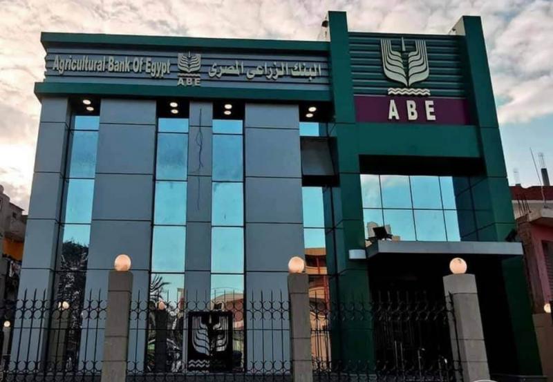 بيزنس لايف