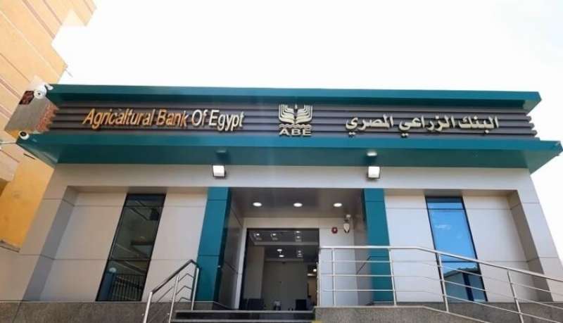 بيزنس لايف