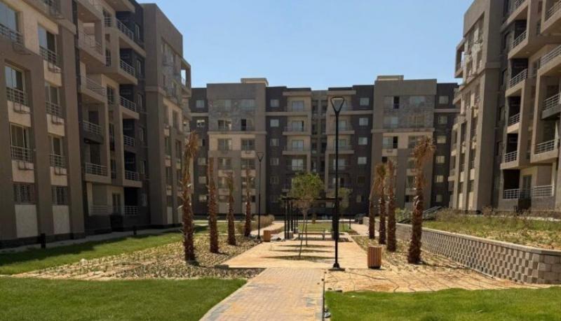 بيزنس لايف