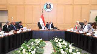 «الوزير»: صياغة استراتيجية متكاملة لتوطين صناعة صاج السيارات في مصر