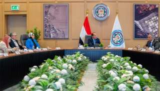 وزير المالية: القطاع الخاص المصري أثبت قدرته على التحرك السريع والنمو والمنافسة فور تهيئة بيئة أعمال أكثر تحفيزًا للاستثمار