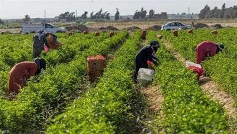 تعديل النظام الداخلي لـ9 جمعيات زراعية في محافظة البحيرة