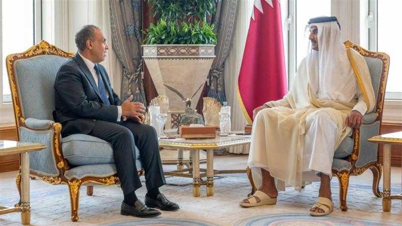 وزير الخارجية يسلم أمير قطر رسالة تضامن ودعم من الرئيس السيسي