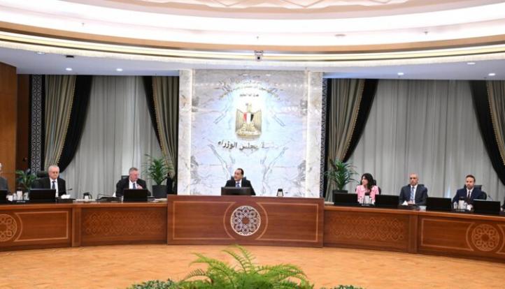 رئيس الوزراء يستقبل نائب رئيس الوزراء الروسي بحضور نائب محافظ البنك المركزي