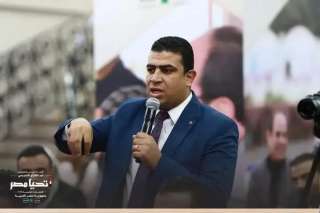 صديق : قمة شرم الشيخ تؤكد أن مصر هي الركيزة المحورية في إدارة قضايا الشرق الأوسط
