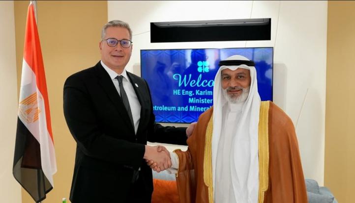 وزير البترول يبحث تعزيز الشراكة الإستراتيجية بين مصر ومنظمة «أوبك»