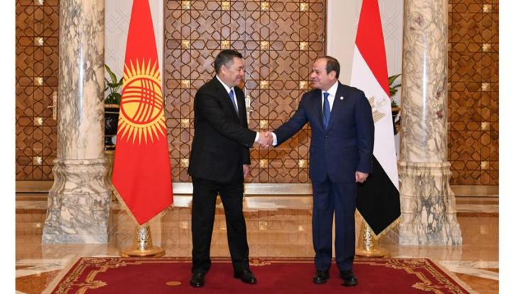 السيسي يبحث سبل تعزيز التعاون التجارى المشترك بين مصر و قرغيزستان