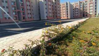 الإسكان تعلن بدء تسليم قطع أراضي الإسكان المتميز للفائزين