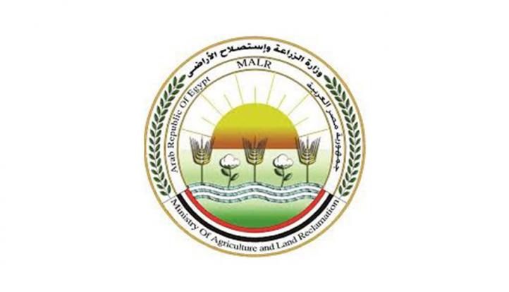 الزراعة: توزيع 100 طن تقاوي شعير و33 ألف شتلة زيتون “بالمجان” لدعم مزارعي سيدي براني والسلوم بمرسى مطروح