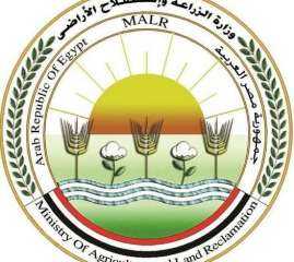 البحوث الزراعية يحقق إنجازاً علمياً جديداً في التصنيف الدولي