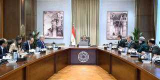 مجلس الوزراء: بدء تشغيل الكارت الموحد في صرف السلع التموينية والخبز في محافظة بورسعيد