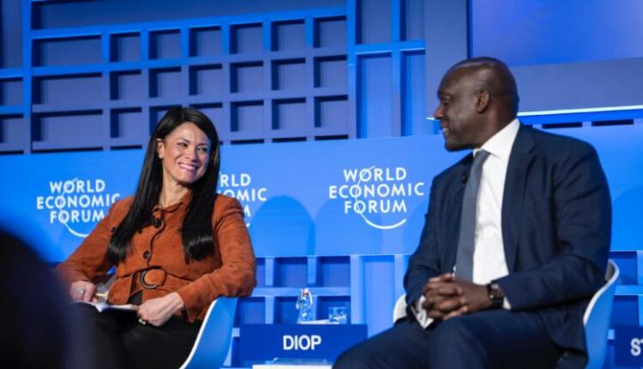 وزيرة التخطيط .. مرونة الأسواق الناشئة تتحقق من خلال الاستمرار في تنفيذ الإصلاحات دون توقف