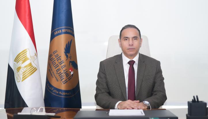 الرقابة المالية: 65.6 مليار جنيه حجم التمويلات الممنوحة خلال يناير 2026