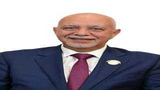 الجندي: توجيهات الرئيس تدفع الإنتاج الحربي ليقود الصناعة الوطنية