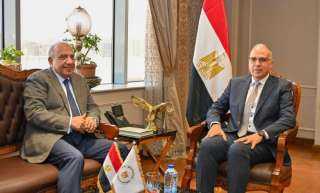 وزيرا الري والكهرباء يبحثان التوسع في استخدام الطاقة الشمسية بمحطات الرفع لدعم التحول الأخضر وخفض الانبعاثات