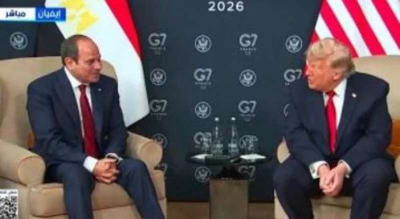 بيزنس لايف