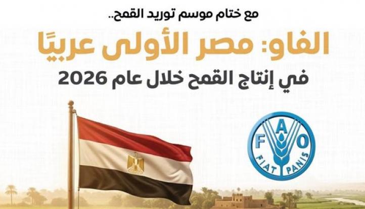مجلس الوزراء: مصر الأولى عربيًا في إنتاج القمح خلال عام 2026 وفقًا لـ ”الفاو”