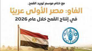 مجلس الوزراء: مصر الأولى عربيًا في إنتاج القمح خلال عام 2026 وفقًا لـ ”الفاو”