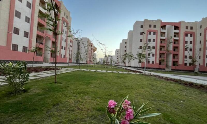 بيزنس لايف