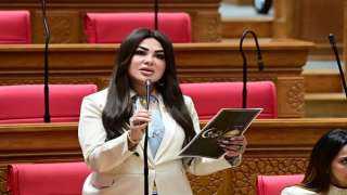 النائبة ولاء الصبان: كلمة الرئيس السيسي تضع بناء الإنسان وتأهيل الكوادر في قلب مسار تطوير مؤسسات الدولة