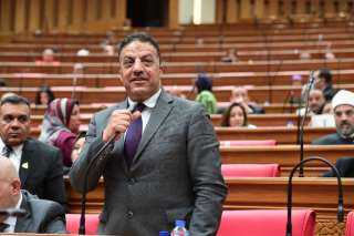 نائب ” حماة الوطن”: كلمة الرئيس السيسي في ذكرى انتصارات أكتوبر حملت رسائل مهمة حول حماية الأمن القومي ومواصلة البناء ومواجهة التحديات