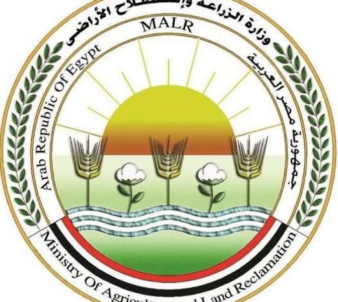 بيزنس لايف