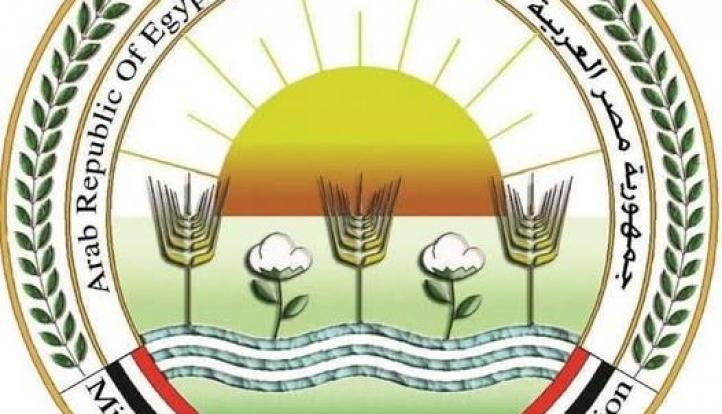 «الزراعة» ترفع درجة الاستعداد للموسم الشتوي وتكثف توفير التقاوي والأسمدة