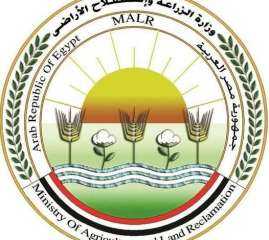 «الزراعة» ترفع درجة الاستعداد للموسم الشتوي وتكثف توفير التقاوي والأسمدة