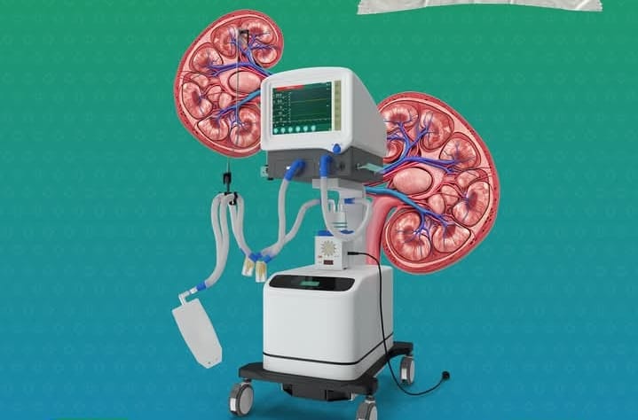 adacc22e090c.jpg